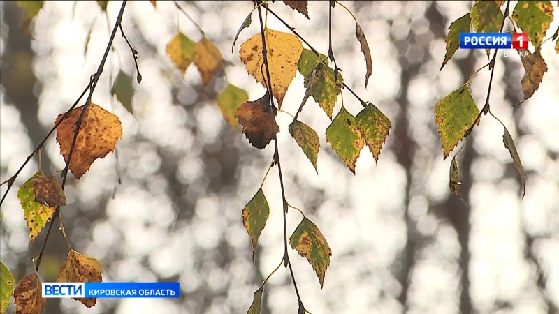 Кировчанам рассказали, какую погоду ждать в октябре
