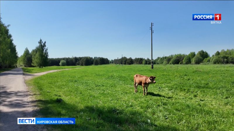 Кировчане могут выбрать населенные пункты для подключения к высокоскоростному интернету