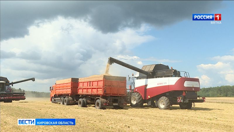 В Нолинском районе отмечена самая большая урожайность зерновых