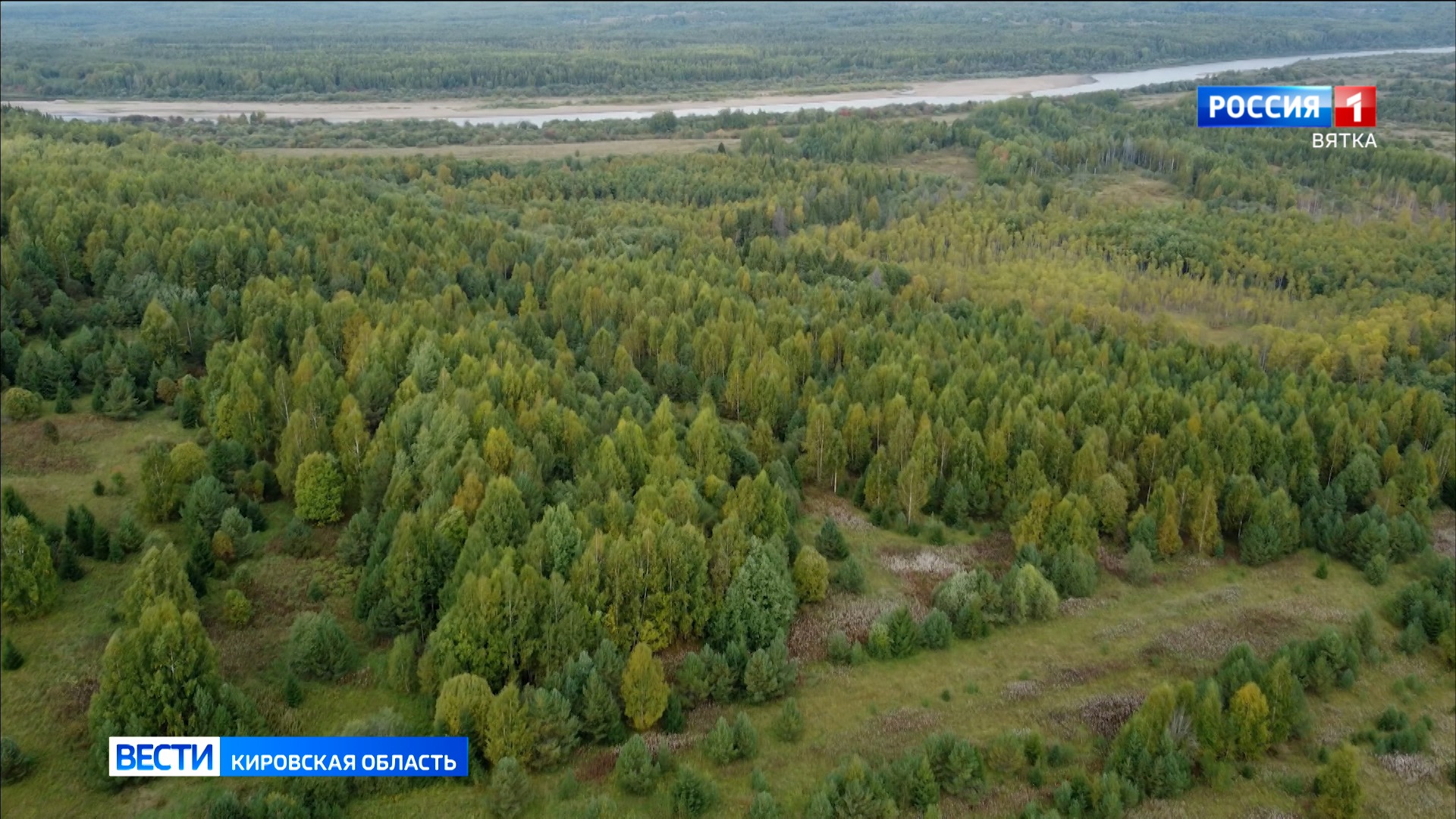 В лесах Кировской области в ближайшую неделю ожидается высокая пожарная опасность