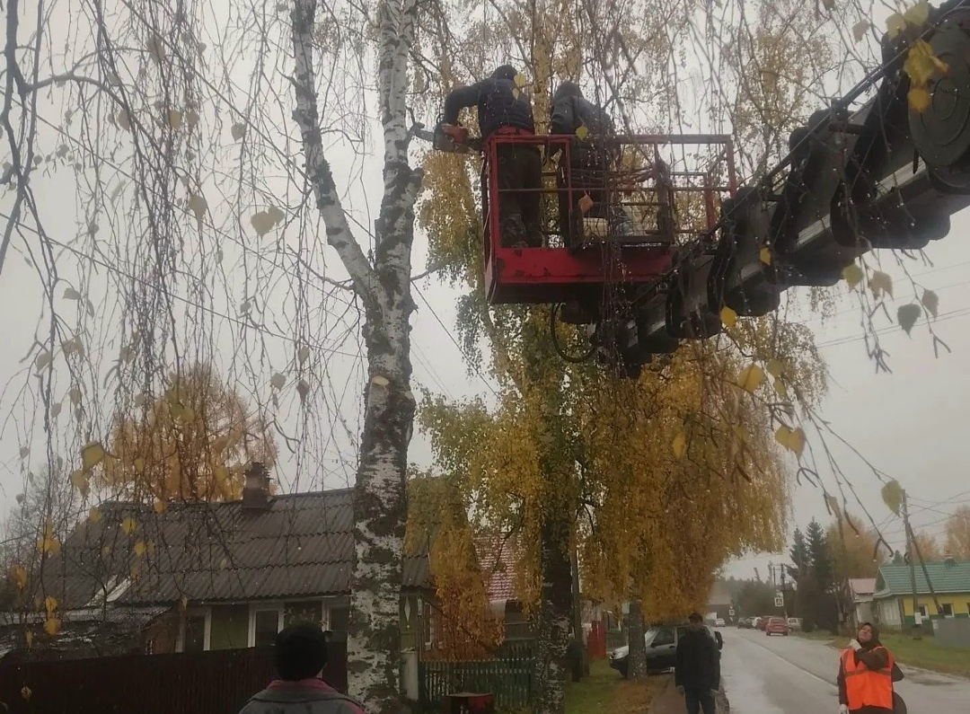 В Порошино и Талице убрали аварийные деревья