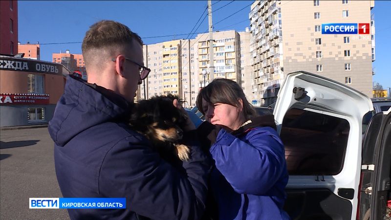 В Кирове стартовала плановая выездная вакцинация домашних животных от бешенства