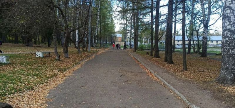 Парк ЛПК в Нововятском районе начнут благоустраивать в 2026 году