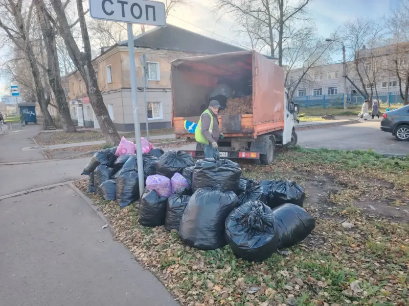 С улиц Кирова каждый день вывозят 20 кубометров смета и опавшей листвы