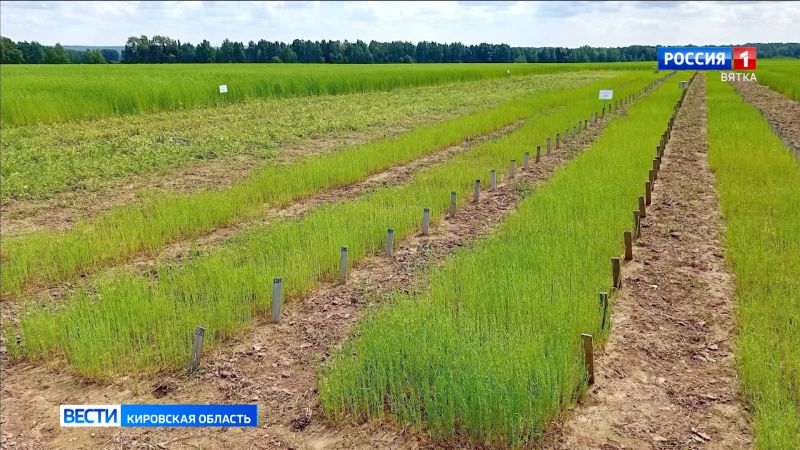 Для школьников и студентов стартовал конкурс видеороликов «Я участвую в АгроНТРИ»