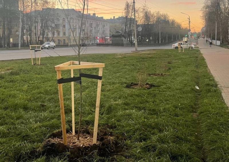 Теплая погода позволяет продолжать озеление Кирова