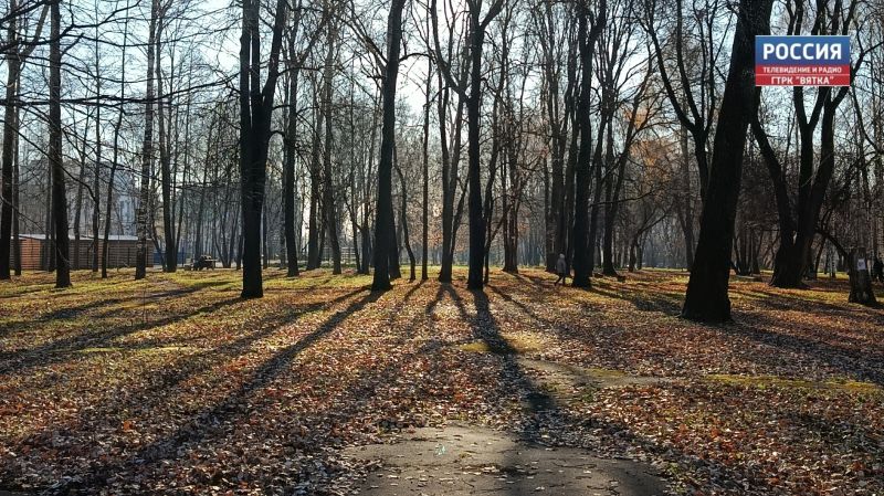 В субботу в Кировской области ветер сменит направление с южного на северный