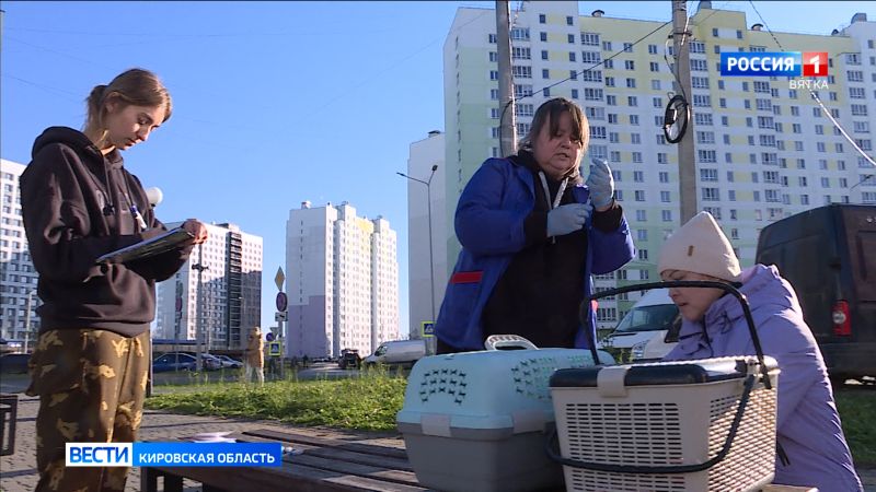 В Кирове продолжается бесплатная вакцинация домашних животных от бешенства