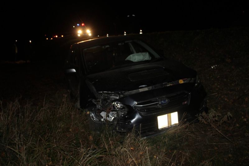 В Куменском районе иномарка вылетела с трассы, столкнувшись с медведем