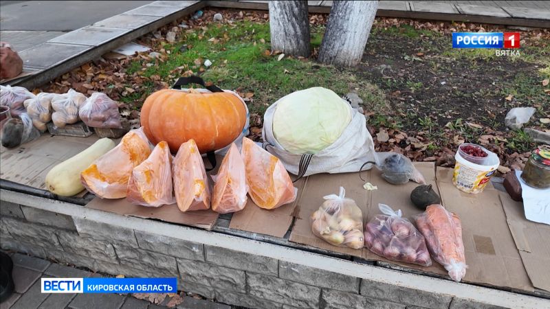 В Кирове прошел рейд по местам несанкционированной уличной торговли