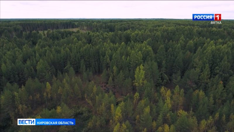 Пожароопасный сезон в Кировской области завершается